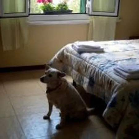Hotel San Lorenzo